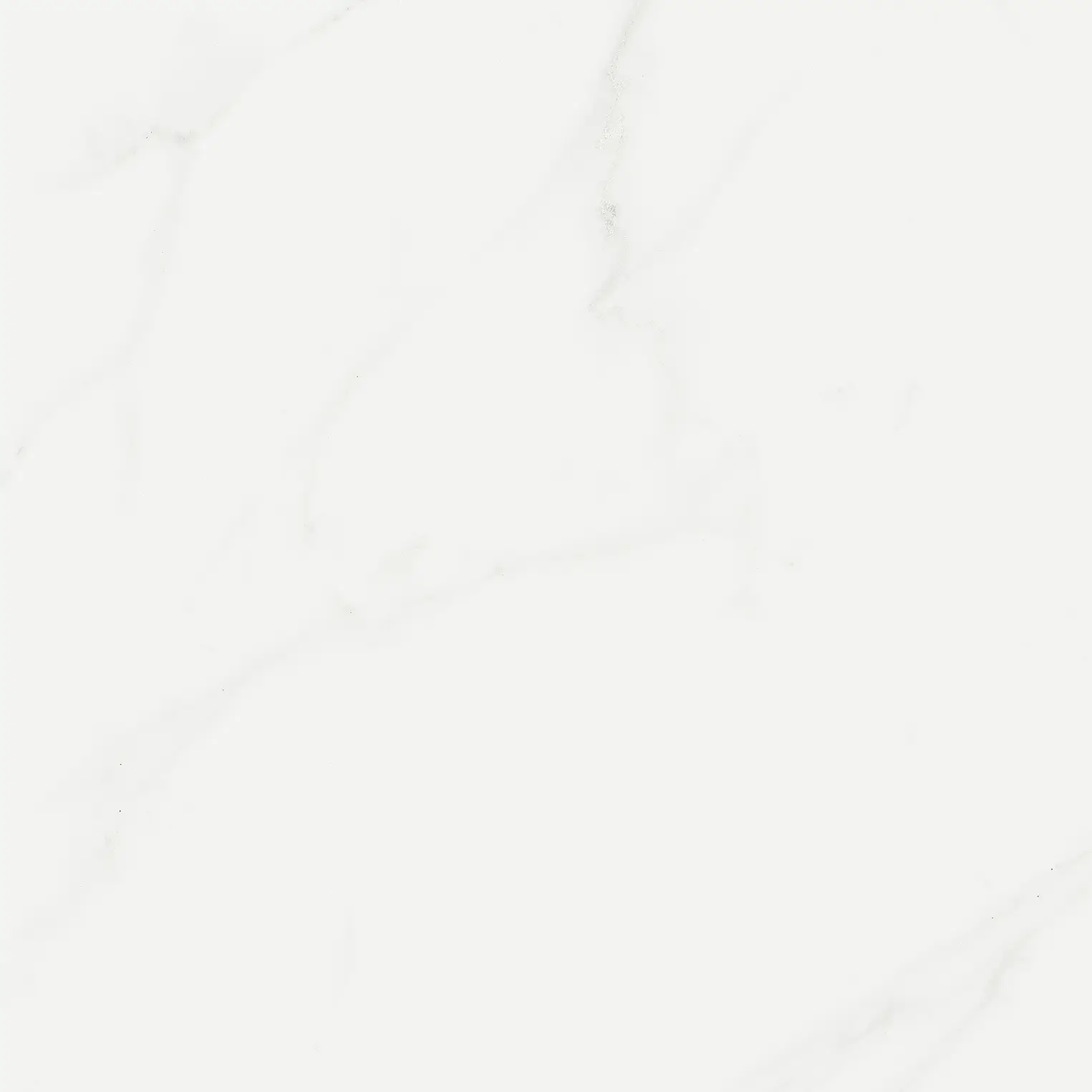 Marca Corona Scultorea Delicata